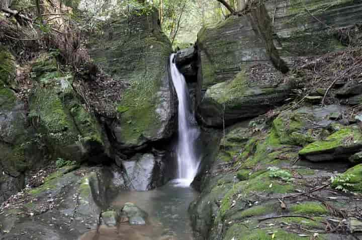 ���_�̑�E���̑�